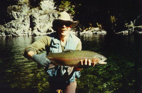 Rainbow trout tagged as part of a 
study on the Rangitikei River trophy fishery